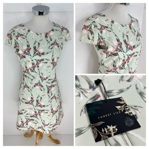 Forest Lily NWT Green‎ Floral Shift Dress Size 8 Flamingo Birds of Paradise NEW